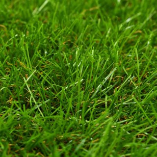 VidaXL Sztuczny trawnik, 1x15 m; 40 mm, zielony