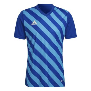 Koszulka adidas ENTRADA 22 GFX JSY HF0116 niebieski M