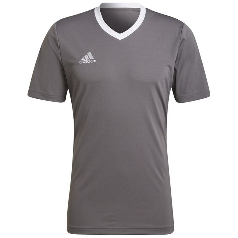 Koszulka adidas ENTRADA 22 JSY Y HE1574 szary L