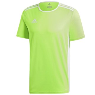 Koszulka adidas Entrada 18 JSY CE9758 zielony 128 cm