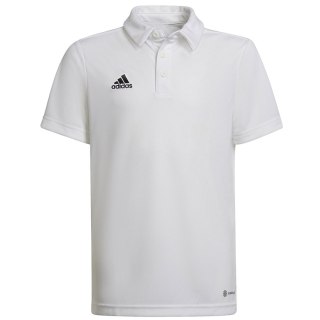 Koszulka adidas Polo ENTRADA 22 Y HC5059 biały 164 cm