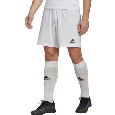 Spodenki adidas ENTRADA 22 Short HG6295 biały XXXL