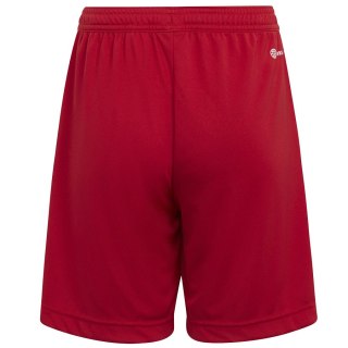 Spodenki adidas ENTRADA 22 Short Y H57501 czerwony 116 cm