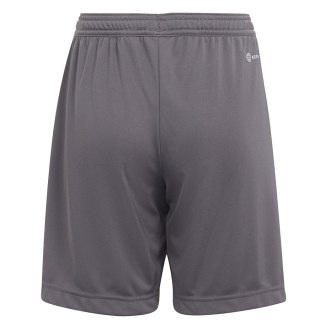 Spodenki adidas ENTRADA 22 Short Y H57507 szary 128 cm