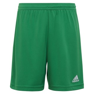 Spodenki adidas ENTRADA 22 Short Y IC7410 zielony 116 cm