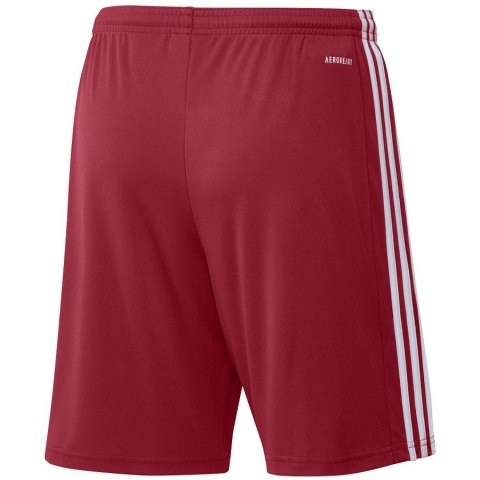 Spodenki adidas SQUADRA 21 Short GN5771 czerwony XXL