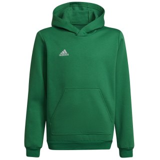 Bluza adidas ENTRADA 22 Hoody Y HI2143 zielony 116 cm