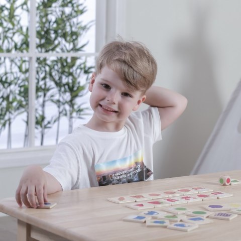 VIGA Gra Edukacyjna Drewniana Układanka Sortuj Dopasuj Kolory i Kształty 38 el. Montessori Viga Toys