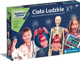 Ciało ludzkie montaż szkieletu i narządów Clementoni CLEMENTONI