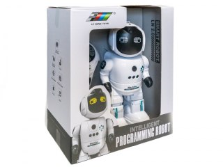 Inteligentny Programowany Robot sterowany pilotem gestem INNY