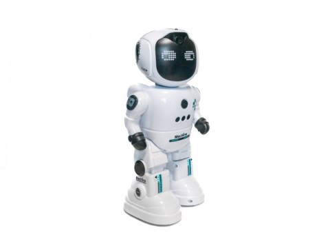 Inteligentny Programowany Robot sterowany pilotem gestem INNY