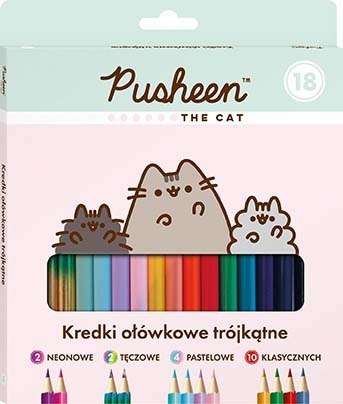 Plecak Szkolny Kot Cat Pusheen worek notes portfel ST.MAJEWSKI