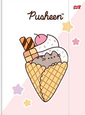 Teczka z Gumką Pusheen The Cat Kotek Różowy ST.MAJEWSKI