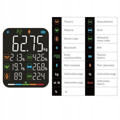 Waga łazienkowa analityczna 15 parametrów Apple Health Google Fit SCALA WEBBER