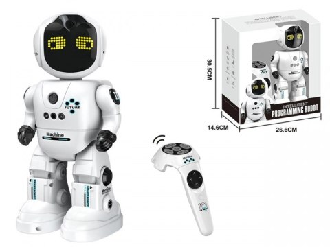 Inteligentny Programowany Robot sterowany pilotem gestem INNY