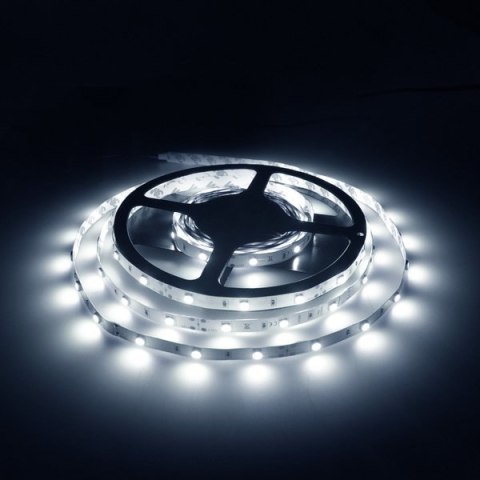 Whitenergy Taśma LED 5m 30szt/m SMD5050 7.2W/m 12V IP20 10mm zimna biała bez konektora