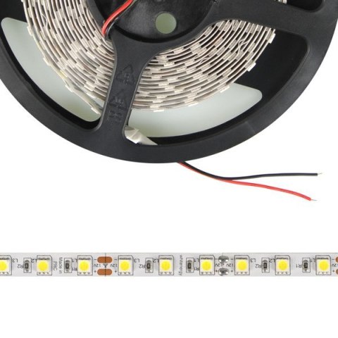 Whitenergy Taśma LED 5m 60szt/m SMD5050 14.4W/m 12V IP20 10mm zimna biała bez konektora