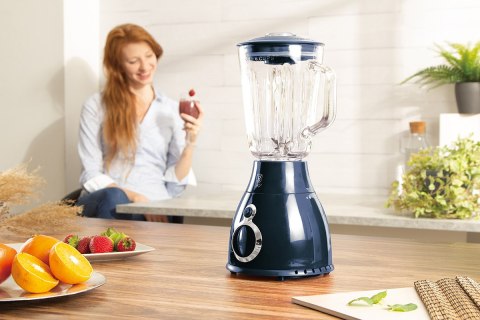 BLENDER KIELICHOWY MIKSER BERLINGER HAUS BH-9283 BERLINGER HAUS