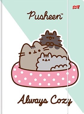 Teczka z Gumką Pusheen The Cat Kotek Zielona ST.MAJEWSKI