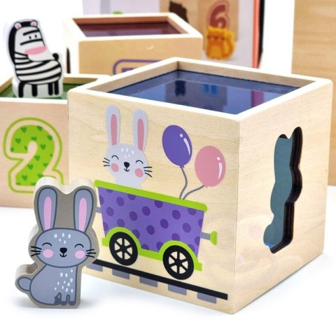 VIGA Drewniana Piramidka Układanka Klocki Sorter Montessori Viga Toys