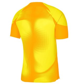 Bluza Nike Gardien IV Goalkeeper JSY SS DH7760 719 Nike