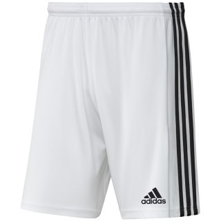 Spodenki adidas SQUADRA 21 Short GN5773 Adidas