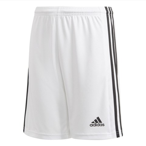 Spodenki adidas SQUADRA 21 Short Y GN5766 Adidas