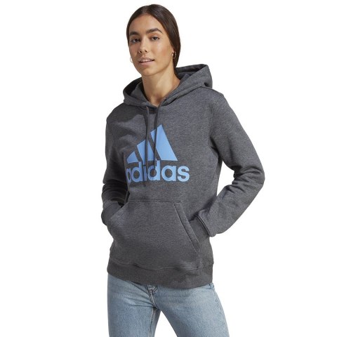 Bluza adidas Big Logo FL R HD IC9845 Adidas