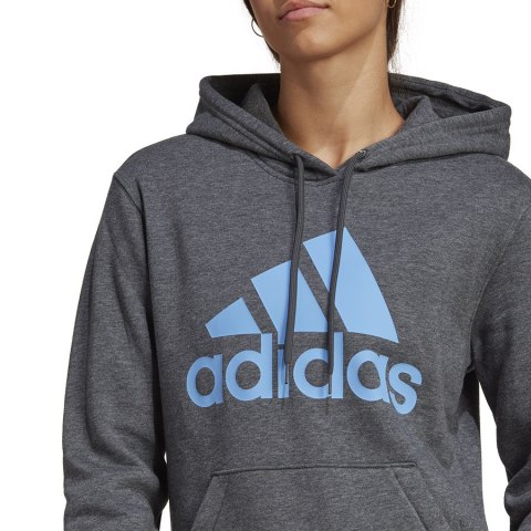 Bluza adidas Big Logo FL R HD IC9845 Adidas