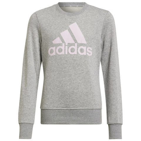 Bluza adidas Big Logo SWT HM8706 Adidas