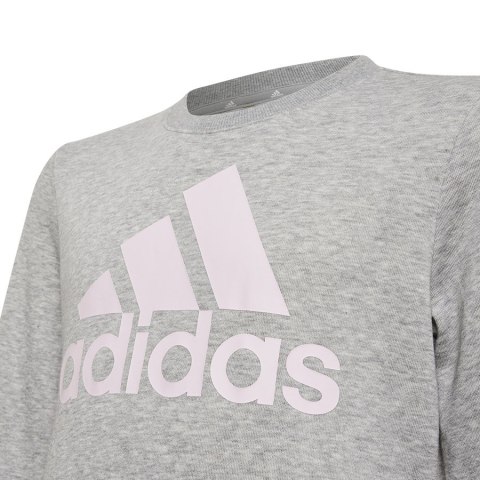 Bluza adidas Big Logo SWT HM8706 Adidas