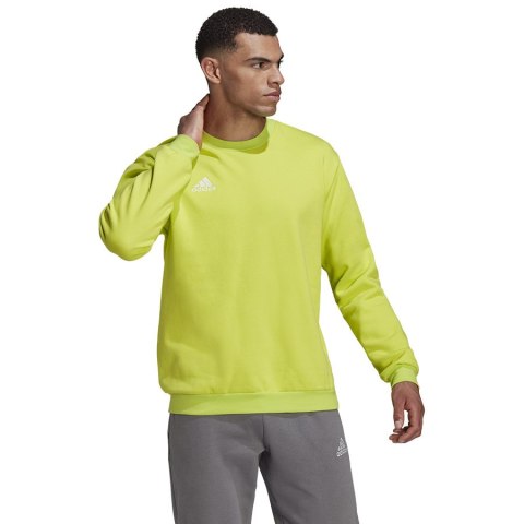 Bluza adidas ENTRADA 22 Sweat Top HC5049 Adidas