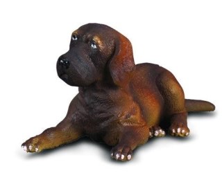 COLLECTA pies Dog niemiecki 88065 szczeniak