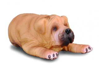 COLLECTA pies Shar Pei S 88194 szczenię