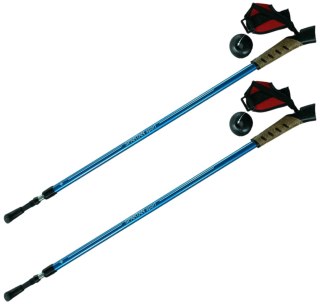 KIJE NORDIC WALKING 2-SEKFENCJE NIEBIESKIE Inny