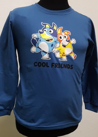 BLUZKA CHŁOPIĘCA COOL FRIENDS DR R.98-116 ŻAREK