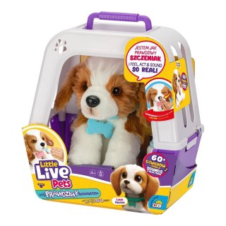 Little Live Pets - Piesek z transporterkiem Cobi