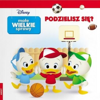 Małe wielkie sprawy. Podzielisz się? Ameet