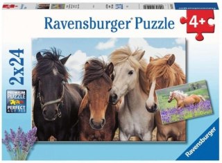 Puzzle 2x24 Konie Ravensburger