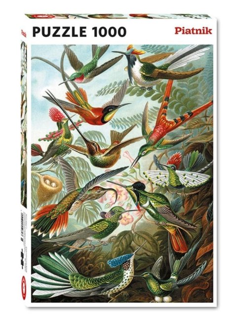 Puzzle 1000 - Haeckel, Kolibry PIATNIK Piatnik