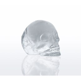 Foremka do lodowych czaszek, 11,5 x 8,5 x 4,5 cm Cilio