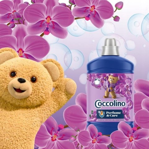 Coccolino Perfume&Care Purple Orchid & Blueberries 1600ml COCCOLINO